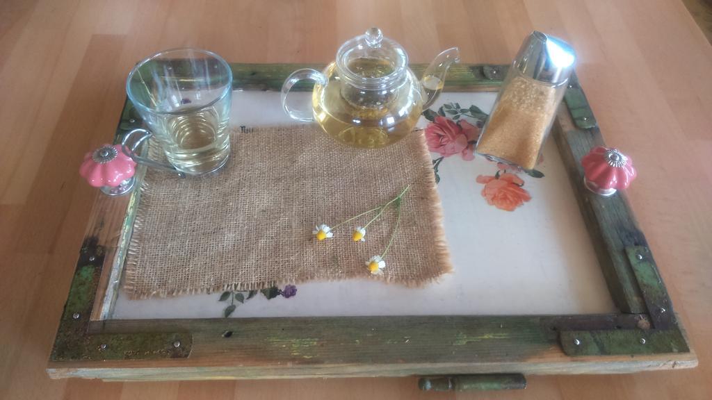 Guest House Eco Vila Mila Rogaska Slatina Ngoại thất bức ảnh