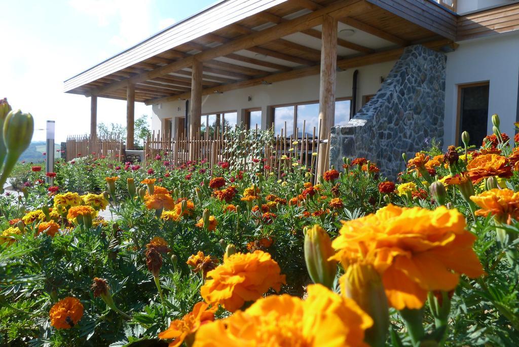 Guest House Eco Vila Mila Rogaska Slatina Ngoại thất bức ảnh